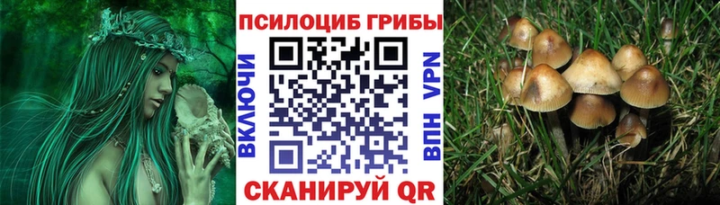 Купить закладки Горячеводский Псилоцибиновые грибы Psilocybine cubensis